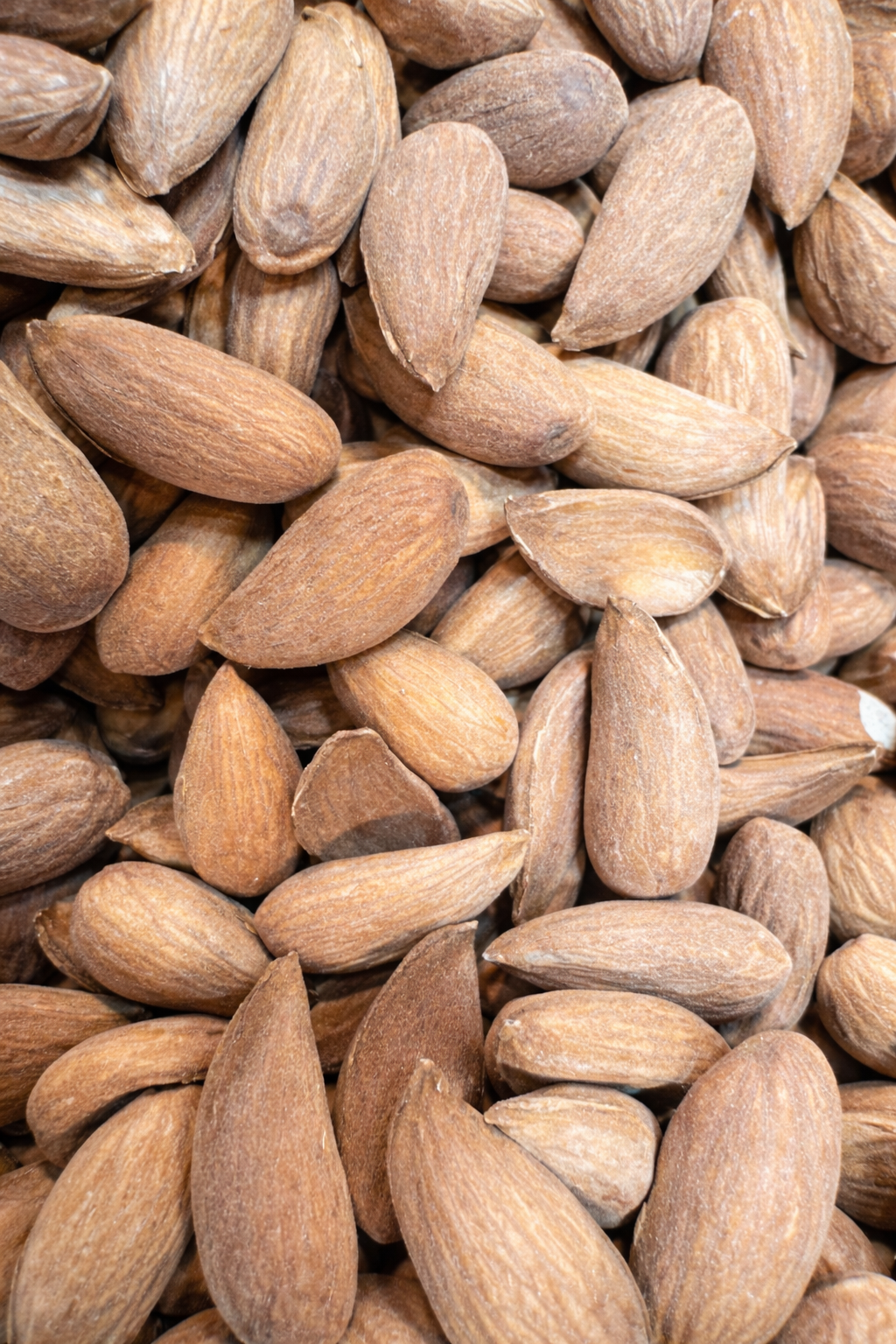 Shukur Bai Mamra Badam