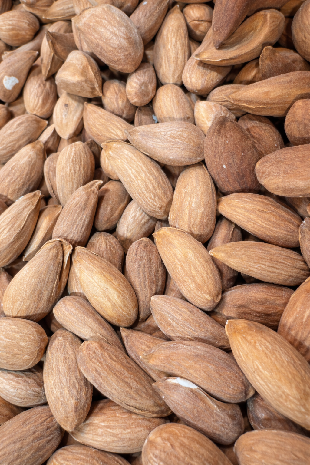 Shukur Bai Mamra Badam