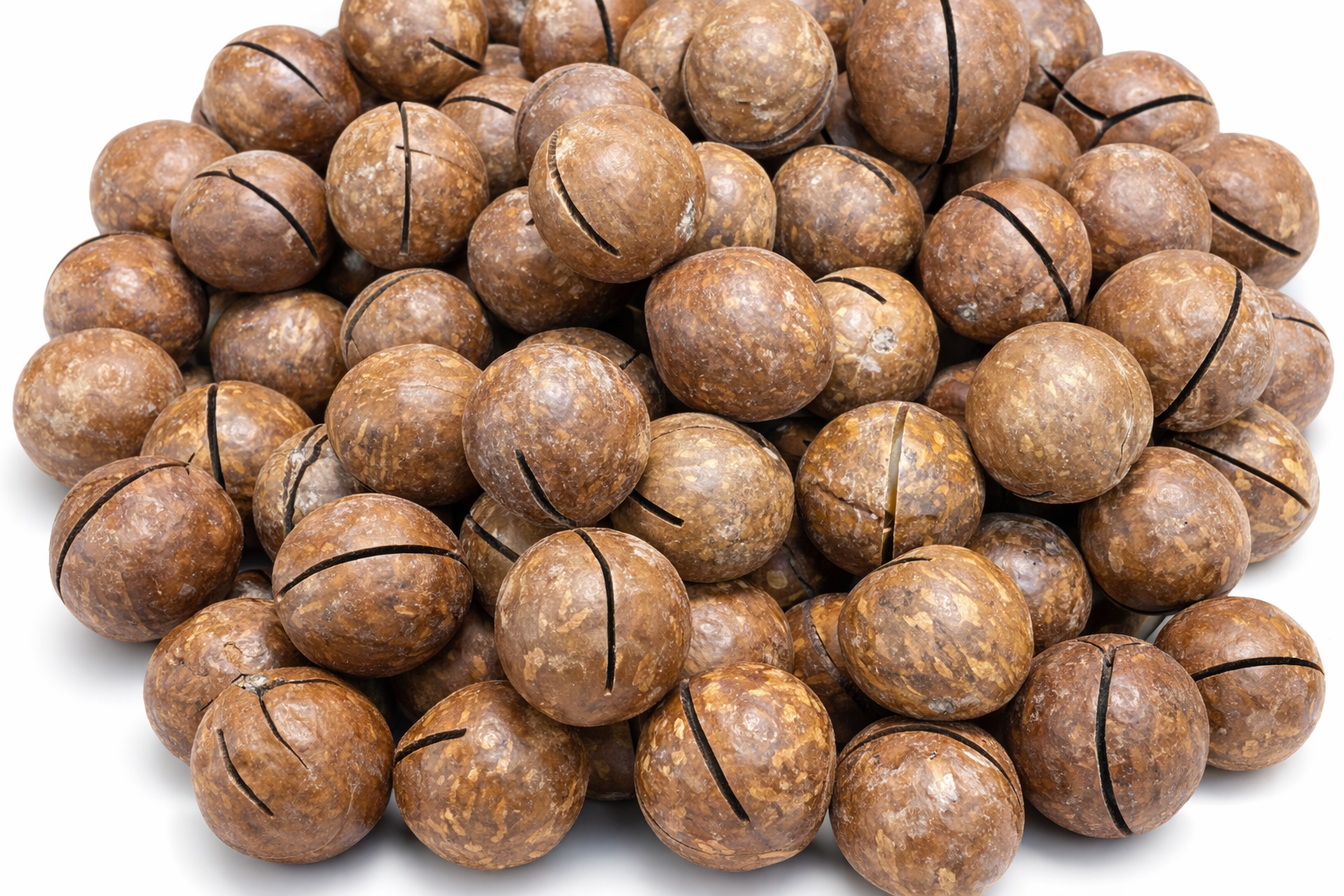 Macadamia Nuts
