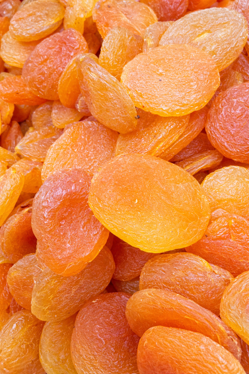 Seedless Apricot